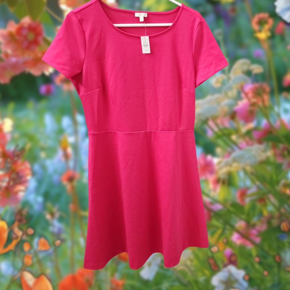 Talbot's Petite NWT Vibrant Pink Short Sleeve Dress.